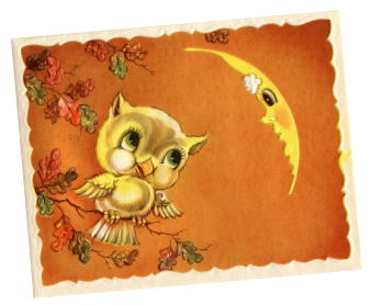 Owl